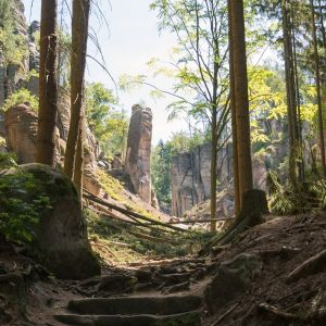 220804 prachovske skaly 0004 220804 prachovske skaly 0004