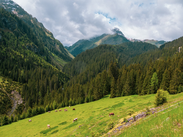 Hahntennjoch Passstraße, Tirol, Oostenrijk Hahntennjoch Passstraße, Tirol, Oostenrijk
