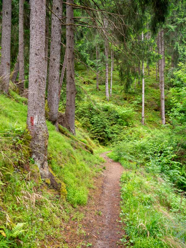 Rondwandeling Silz, Tirol