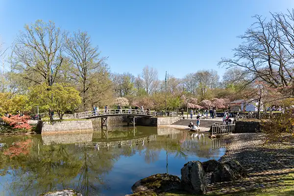 Japanse Tuin @ Hasselt, Belgisch Limburg Japanse Tuin @ Hasselt, Belgisch Limburg