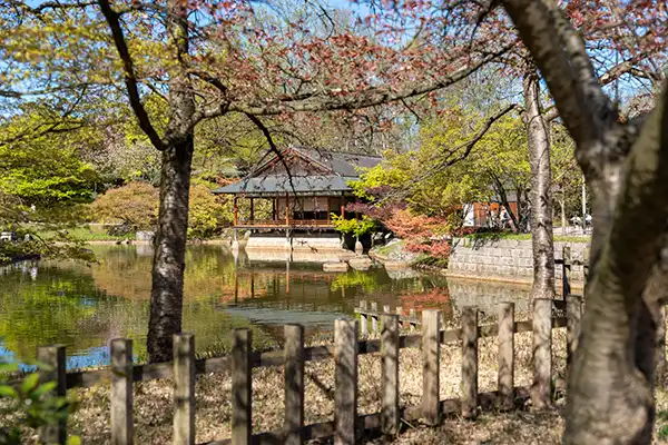 Japanse Tuin @ Hasselt, Belgisch Limburg Japanse Tuin @ Hasselt, Belgisch Limburg