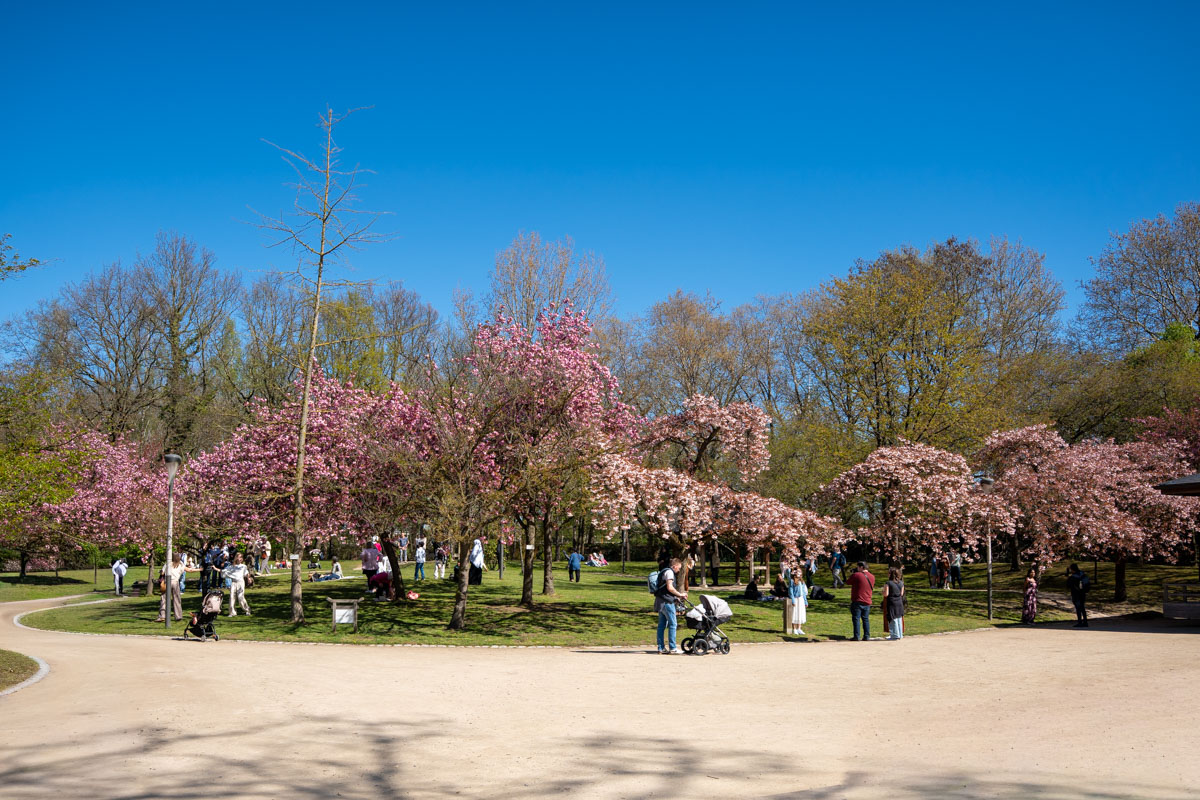 Japanse Tuin @ Hasselt, Belgisch Limburg