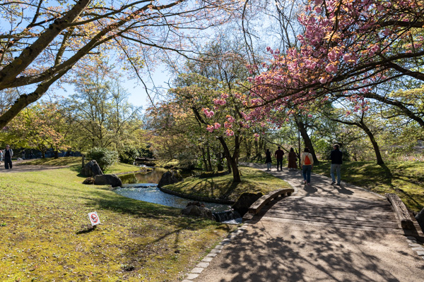 Japanse Tuin @ Hasselt, Belgisch Limburg