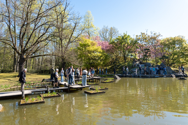 Japanse Tuin @ Hasselt, Belgisch Limburg