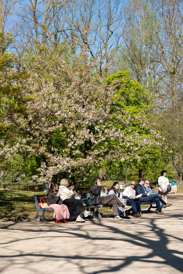 Japanse Tuin @ Hasselt, Belgisch Limburg