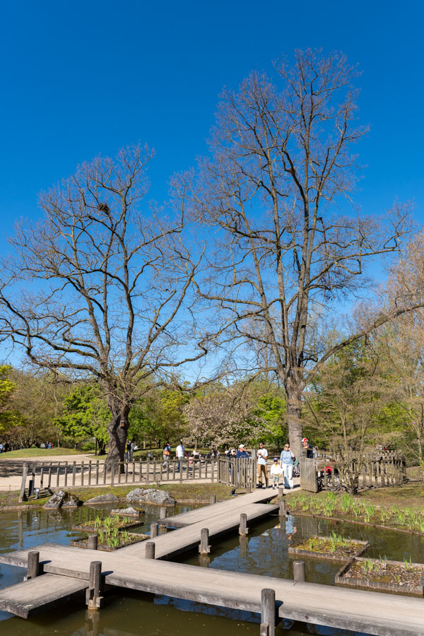 Japanse Tuin @ Hasselt, Belgisch Limburg