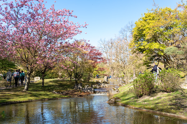 Japanse Tuin @ Hasselt, Belgisch Limburg