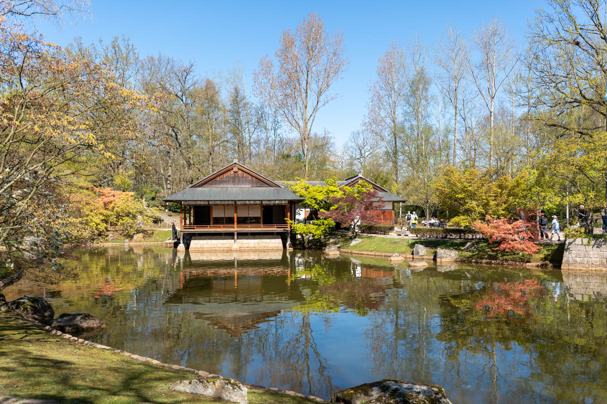 Japanse Tuin @ Hasselt, Belgisch Limburg