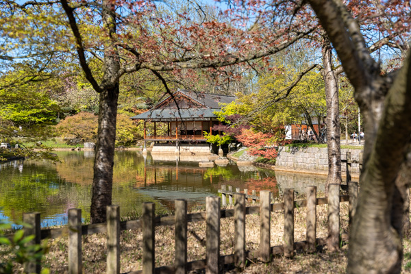 Japanse Tuin @ Hasselt, Belgisch Limburg