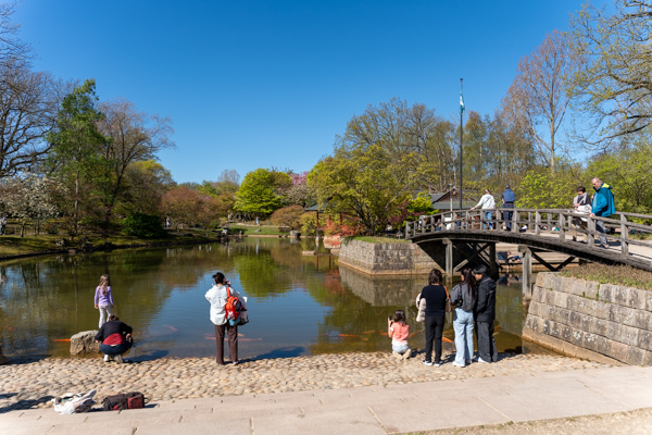 Japanse Tuin @ Hasselt, Belgisch Limburg