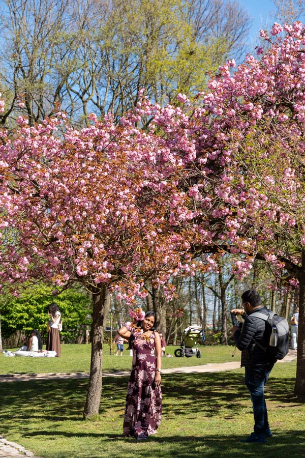 Japanse Tuin @ Hasselt, Belgisch Limburg