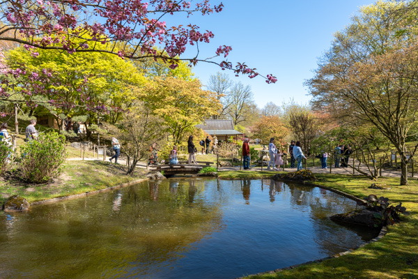 Japanse Tuin @ Hasselt, Belgisch Limburg