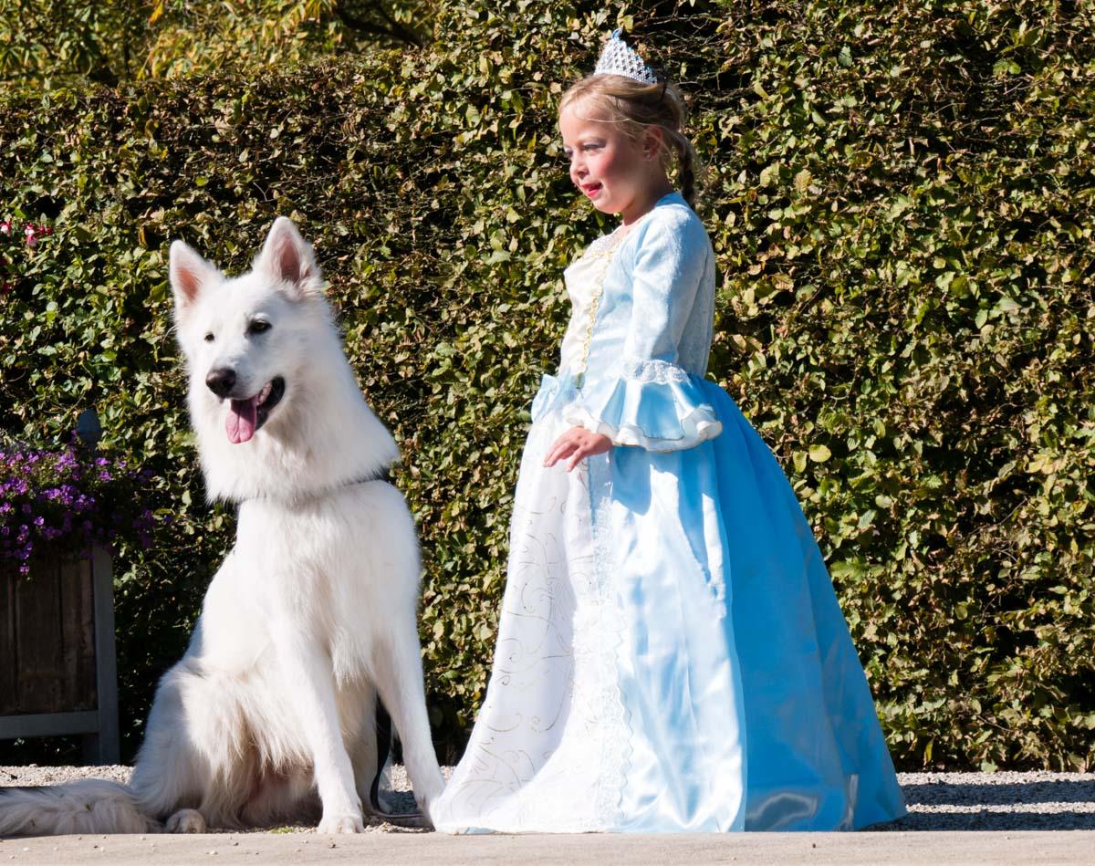 190921 Elfia 07 190921 Elfia 07