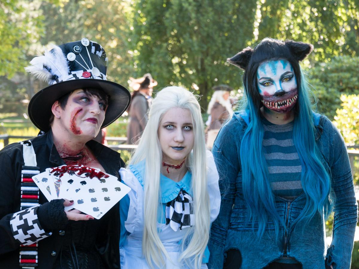 190921 Elfia 22 190921 Elfia 22