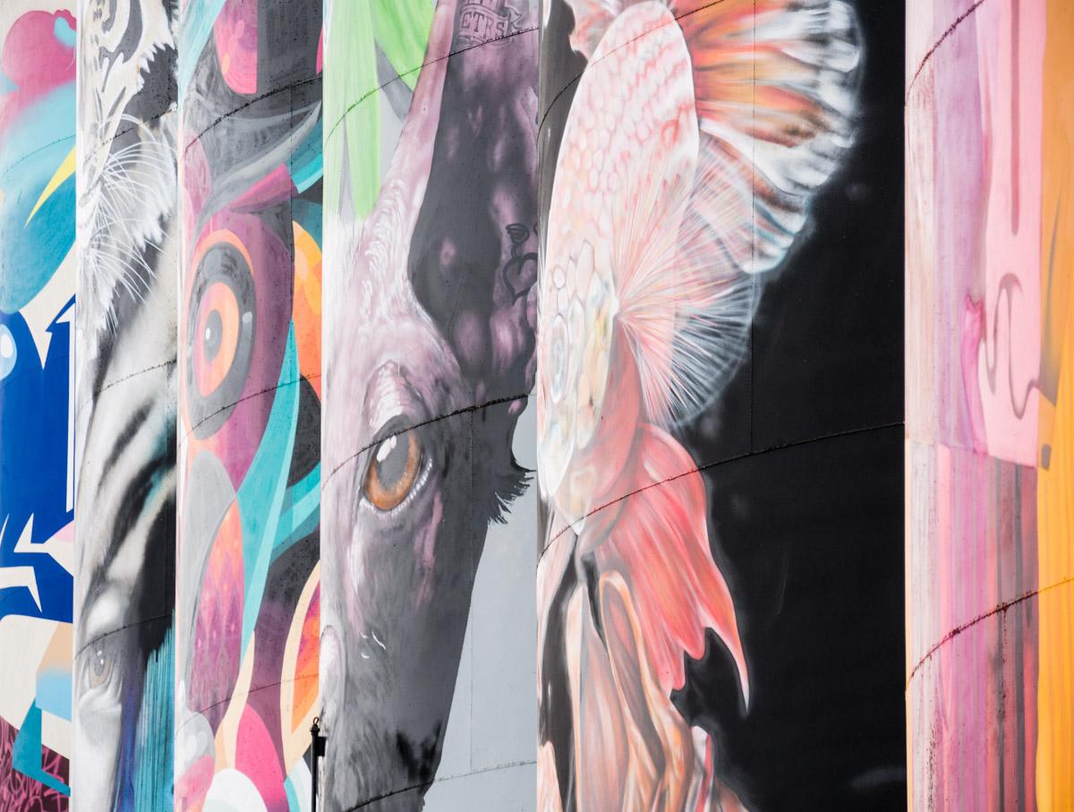 191027 den bosch  1180121 191027 den bosch  1180121