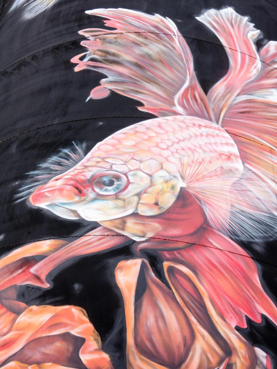 191027 den bosch  1180125 191027 den bosch  1180125