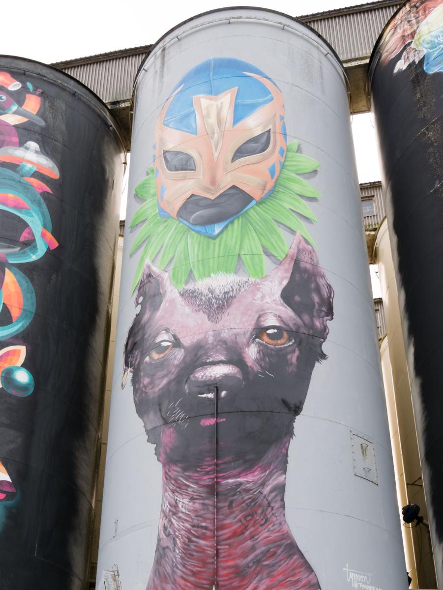 191027 den bosch  1180126 191027 den bosch  1180126