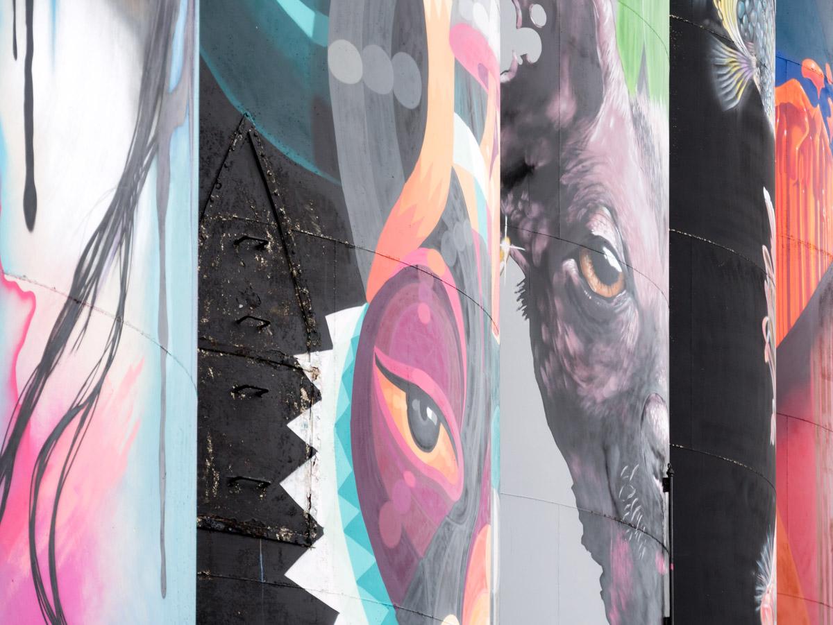 191027 den bosch  1180132 191027 den bosch  1180132