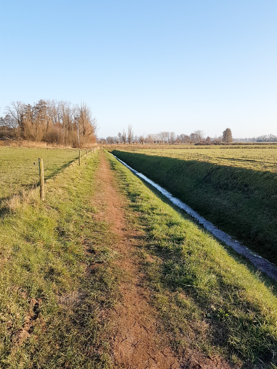 MP wijstgronden uden 003 MP wijstgronden uden 003