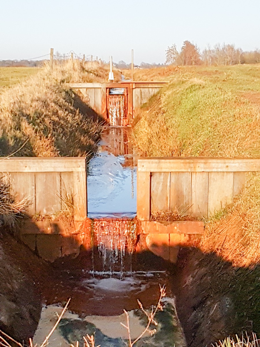 MP wijstgronden uden 005 MP wijstgronden uden 005