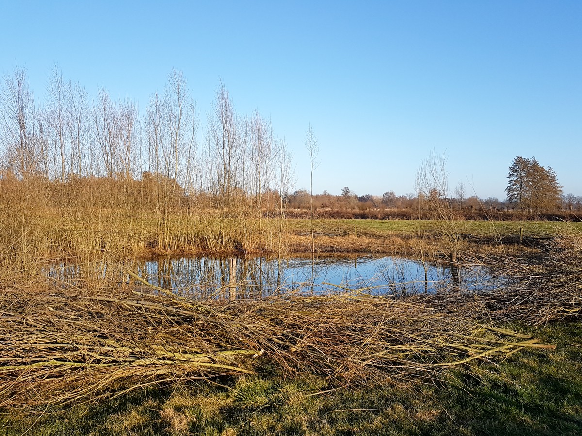 MP wijstgronden uden 006 MP wijstgronden uden 006