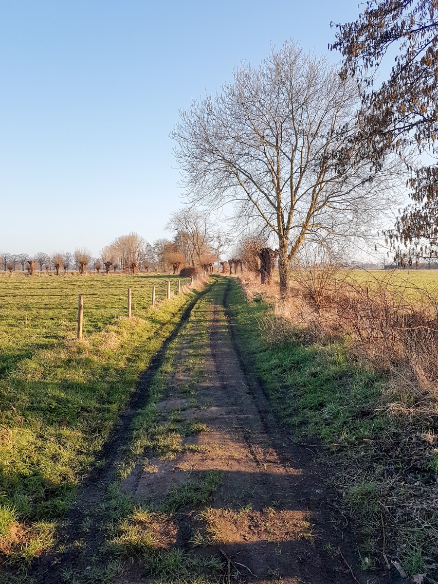 MP wijstgronden uden 007 MP wijstgronden uden 007