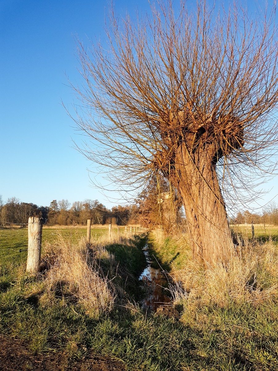 MP wijstgronden uden 008 MP wijstgronden uden 008
