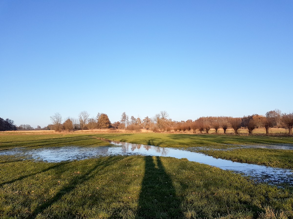 MP wijstgronden uden 009 MP wijstgronden uden 009