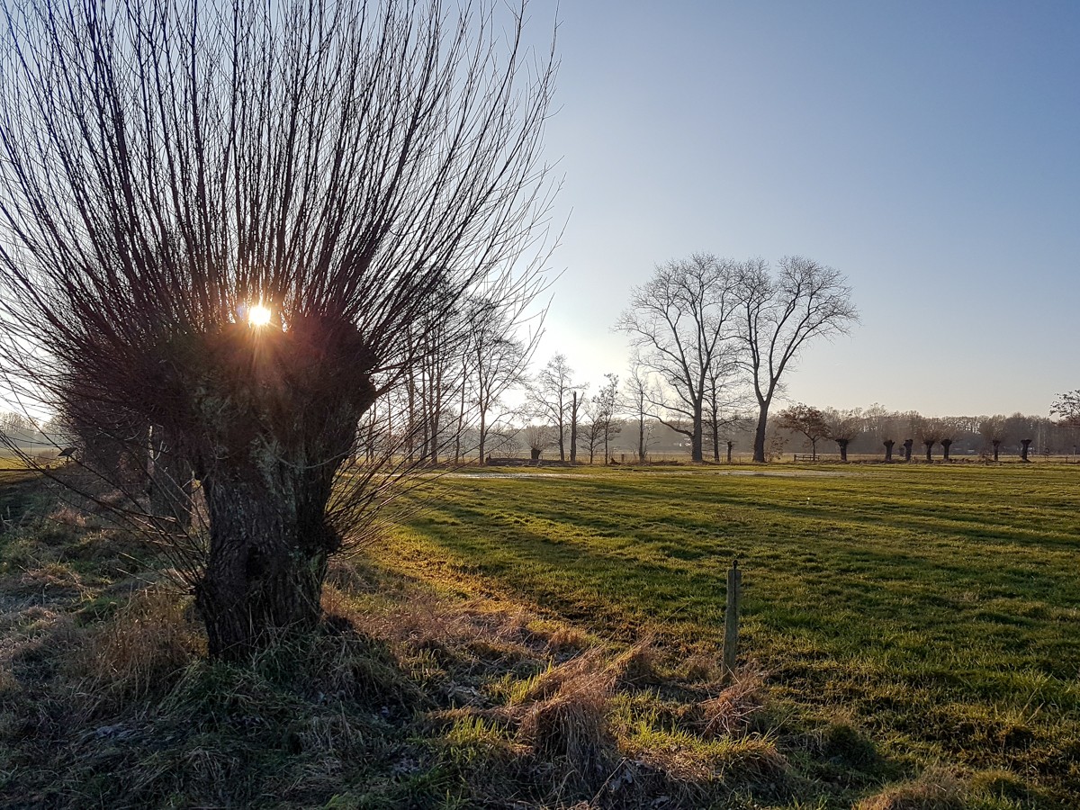 MP wijstgronden uden 010 MP wijstgronden uden 010