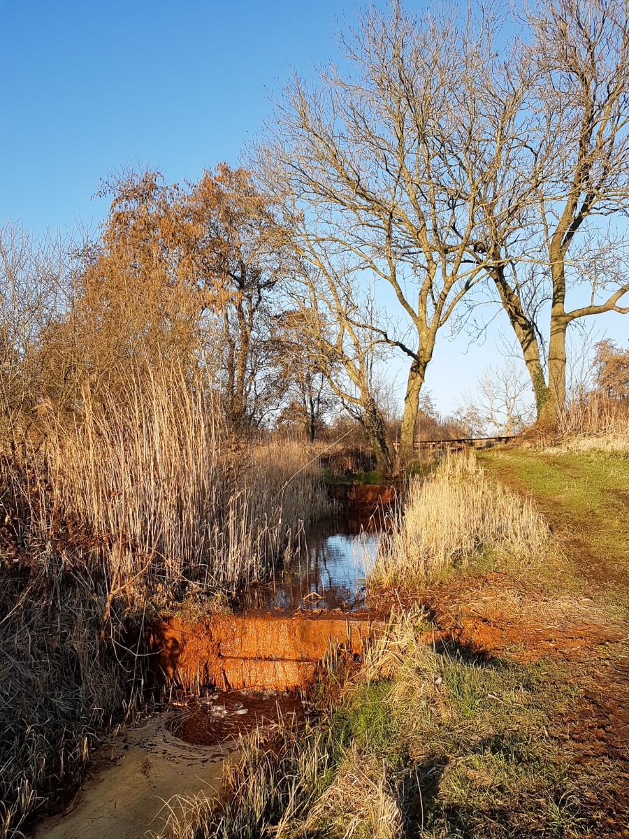 MP wijstgronden uden 011 MP wijstgronden uden 011