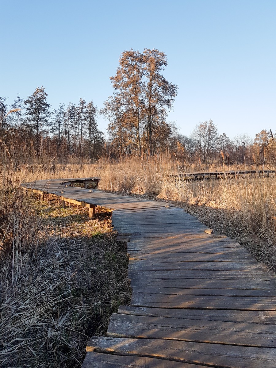 MP wijstgronden uden 014 MP wijstgronden uden 014