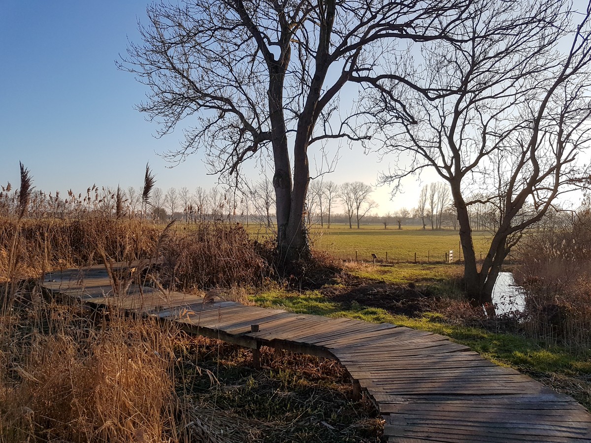 MP wijstgronden uden 015 MP wijstgronden uden 015