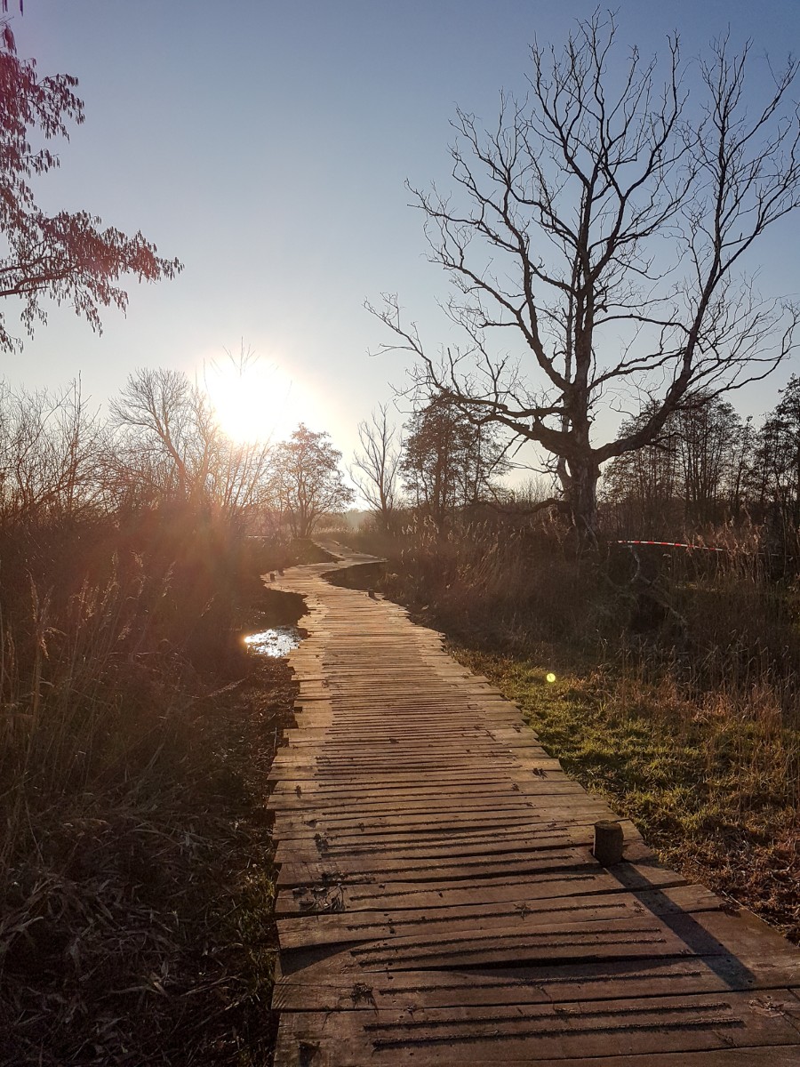 MP wijstgronden uden 016 MP wijstgronden uden 016