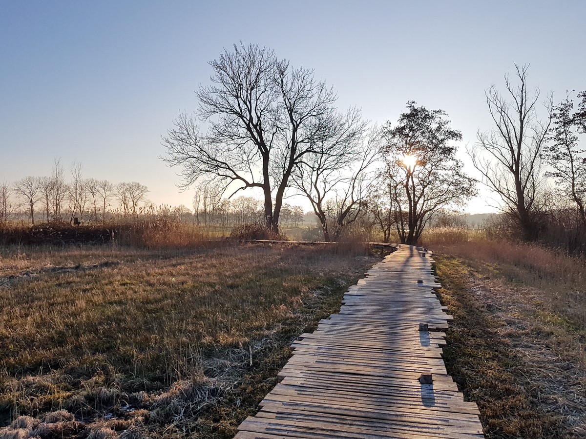 MP wijstgronden uden 017 MP wijstgronden uden 017