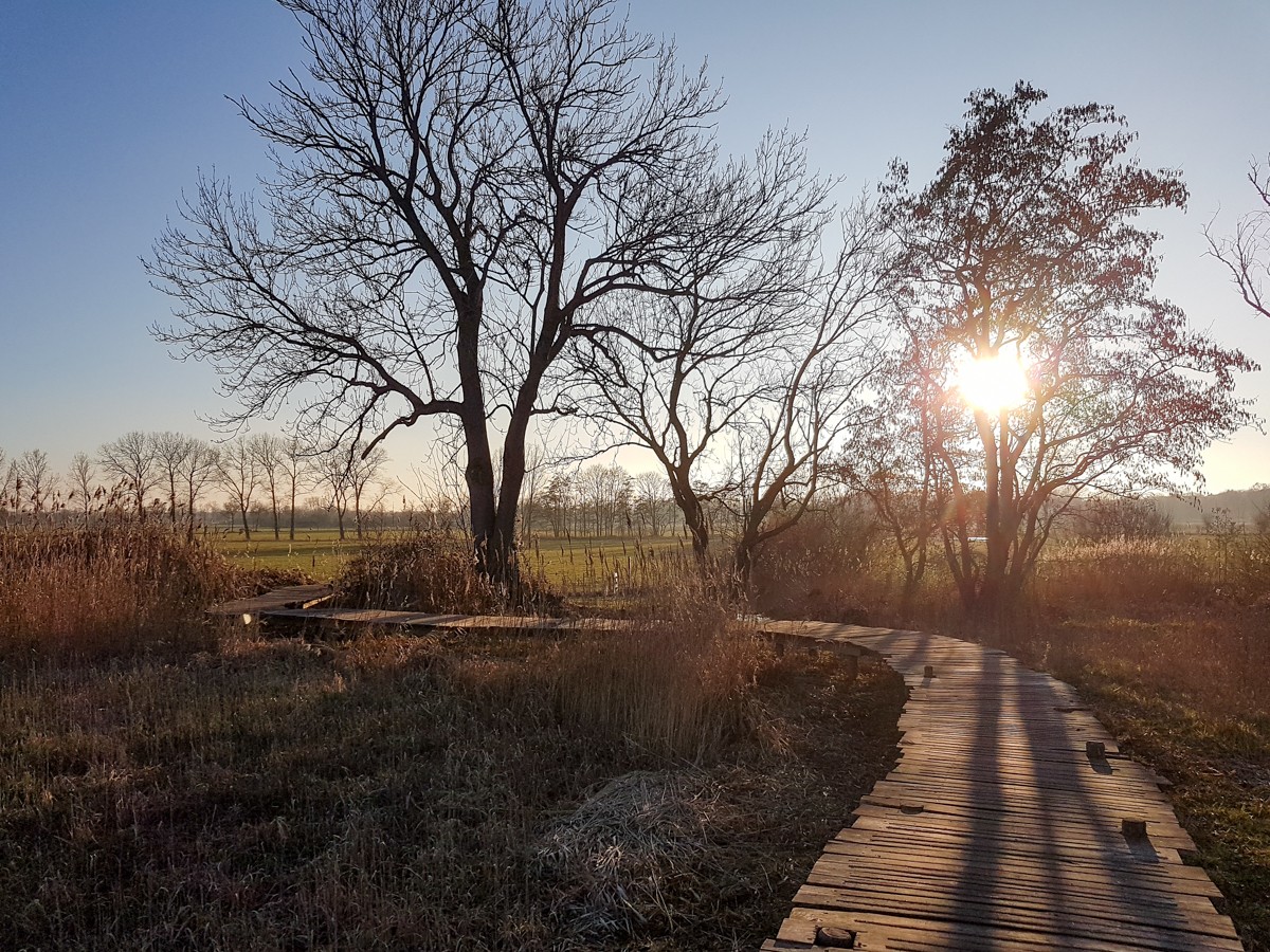 MP wijstgronden uden 018 MP wijstgronden uden 018