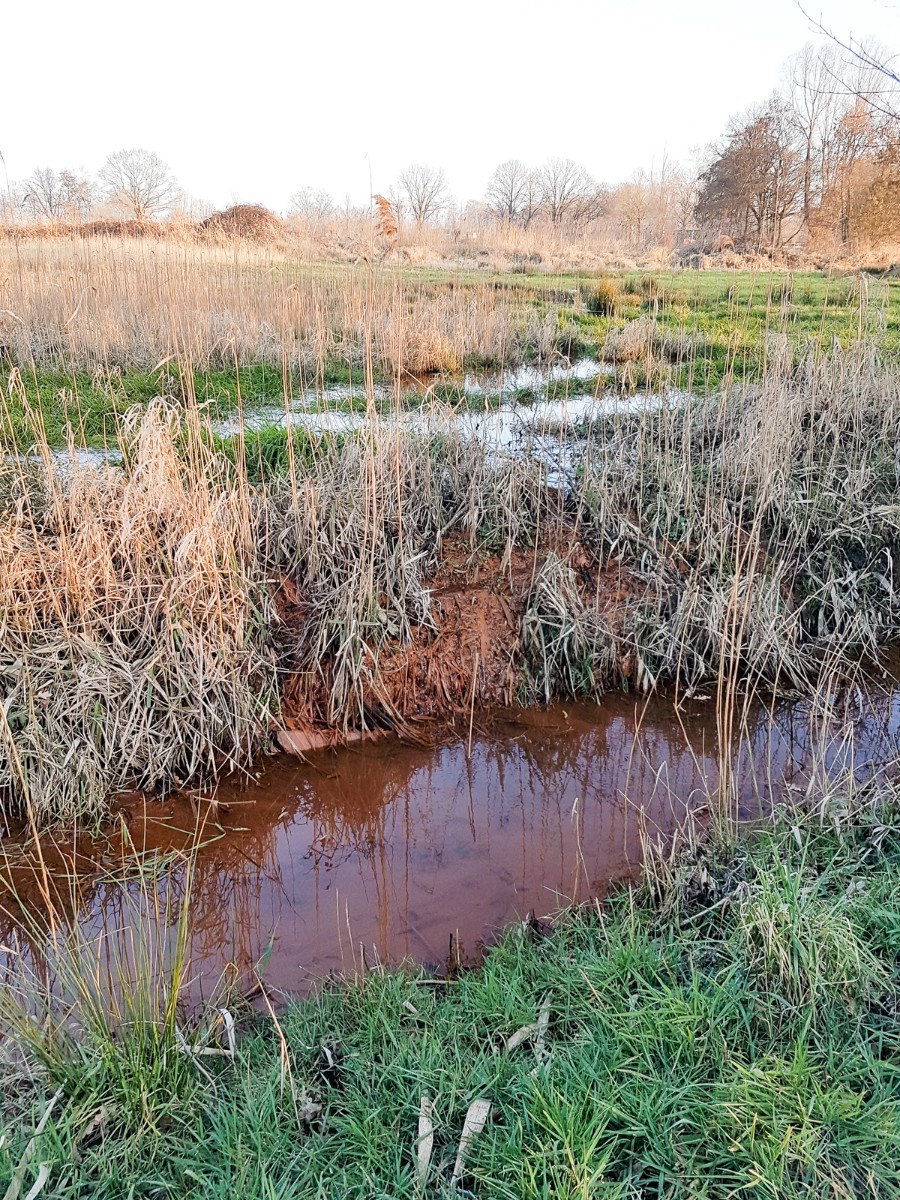 MP wijstgronden uden 020 MP wijstgronden uden 020