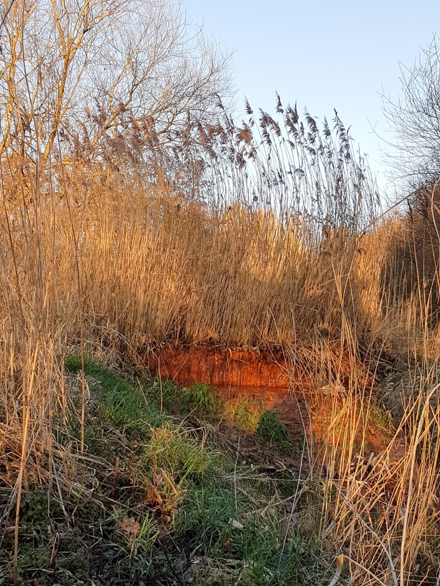 MP wijstgronden uden 021 MP wijstgronden uden 021