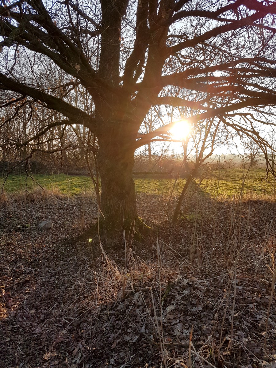 MP wijstgronden uden 022 MP wijstgronden uden 022