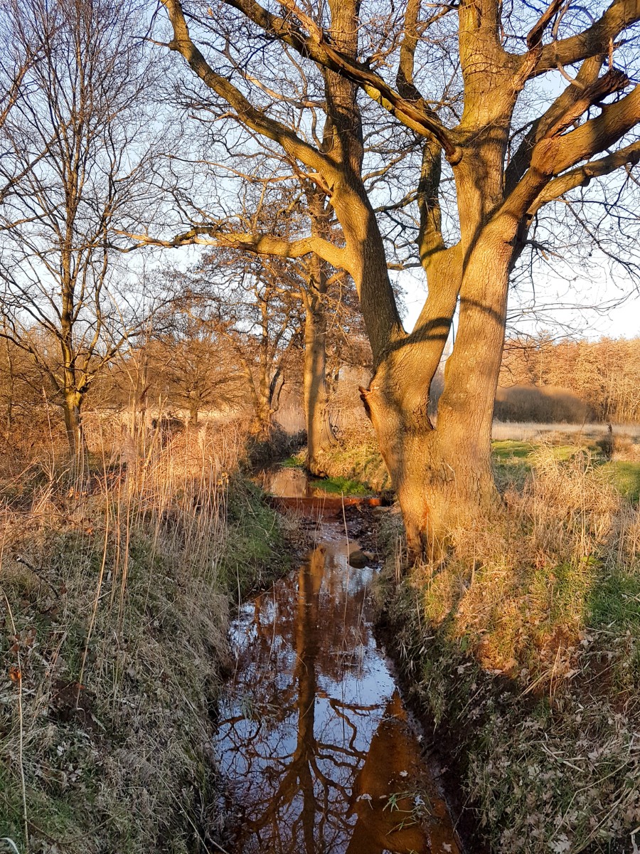 MP wijstgronden uden 023 MP wijstgronden uden 023