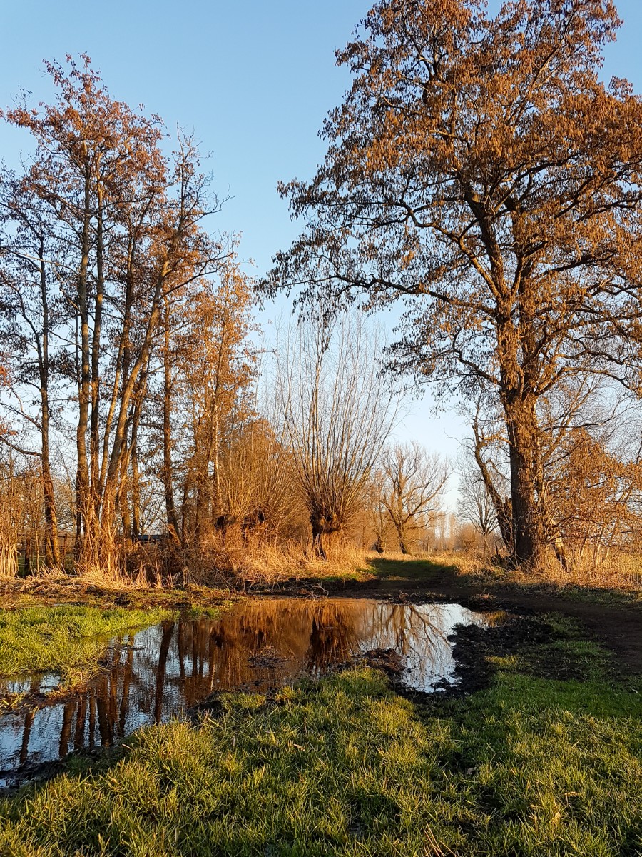 MP wijstgronden uden 024 MP wijstgronden uden 024