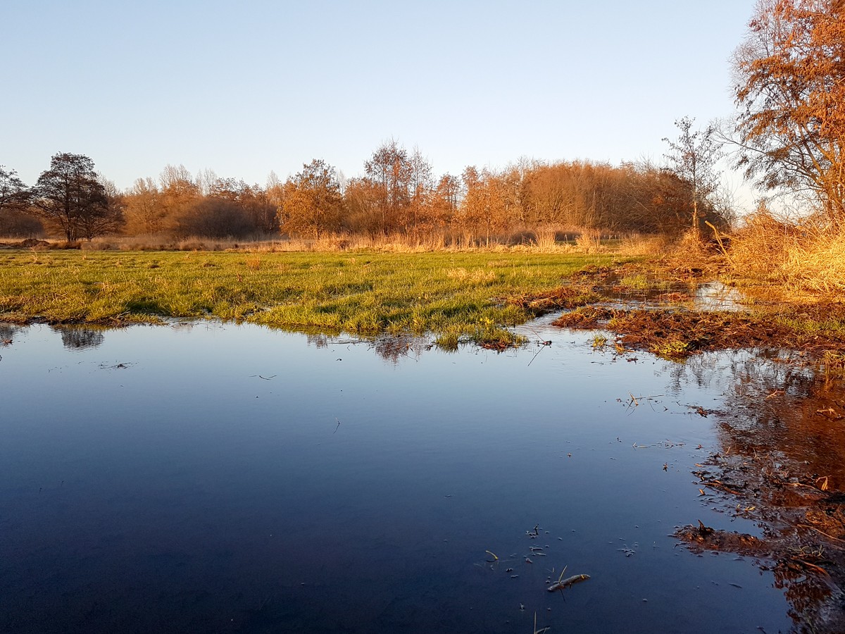 MP wijstgronden uden 025 MP wijstgronden uden 025