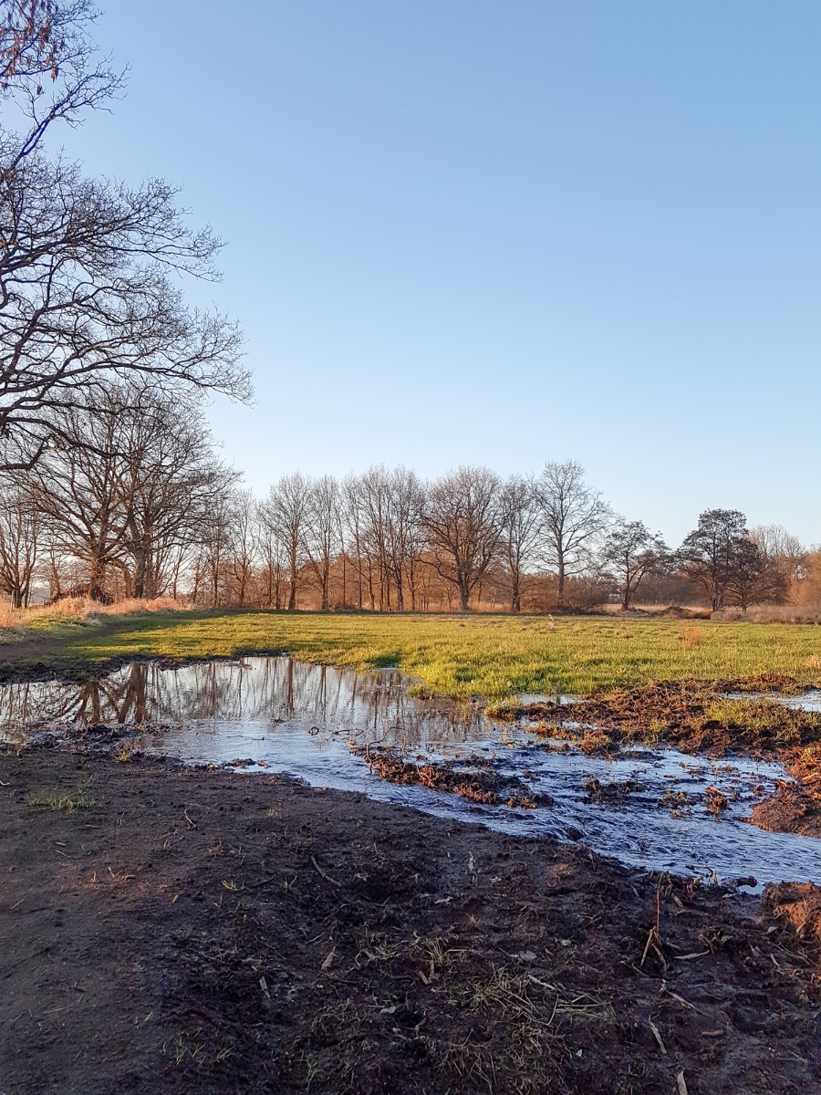 MP wijstgronden uden 026 MP wijstgronden uden 026