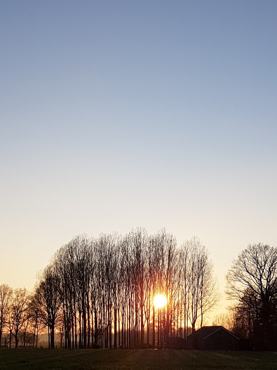 MP wijstgronden uden 029 MP wijstgronden uden 029