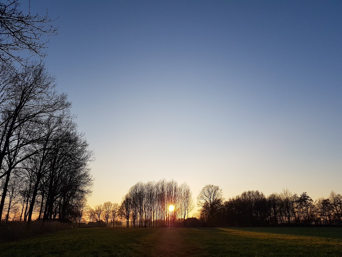 MP wijstgronden uden 030 MP wijstgronden uden 030