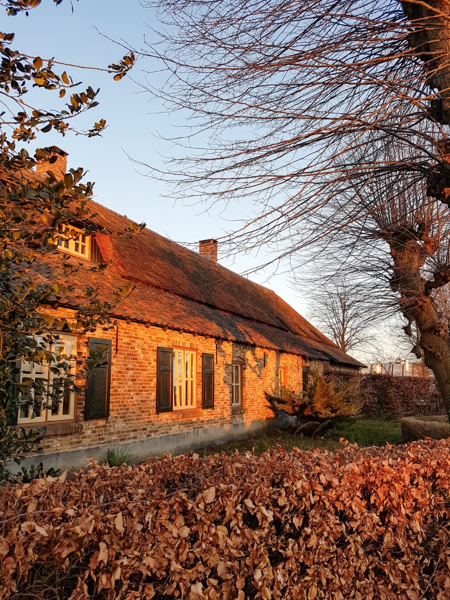 MP wijstgronden uden 033 MP wijstgronden uden 033