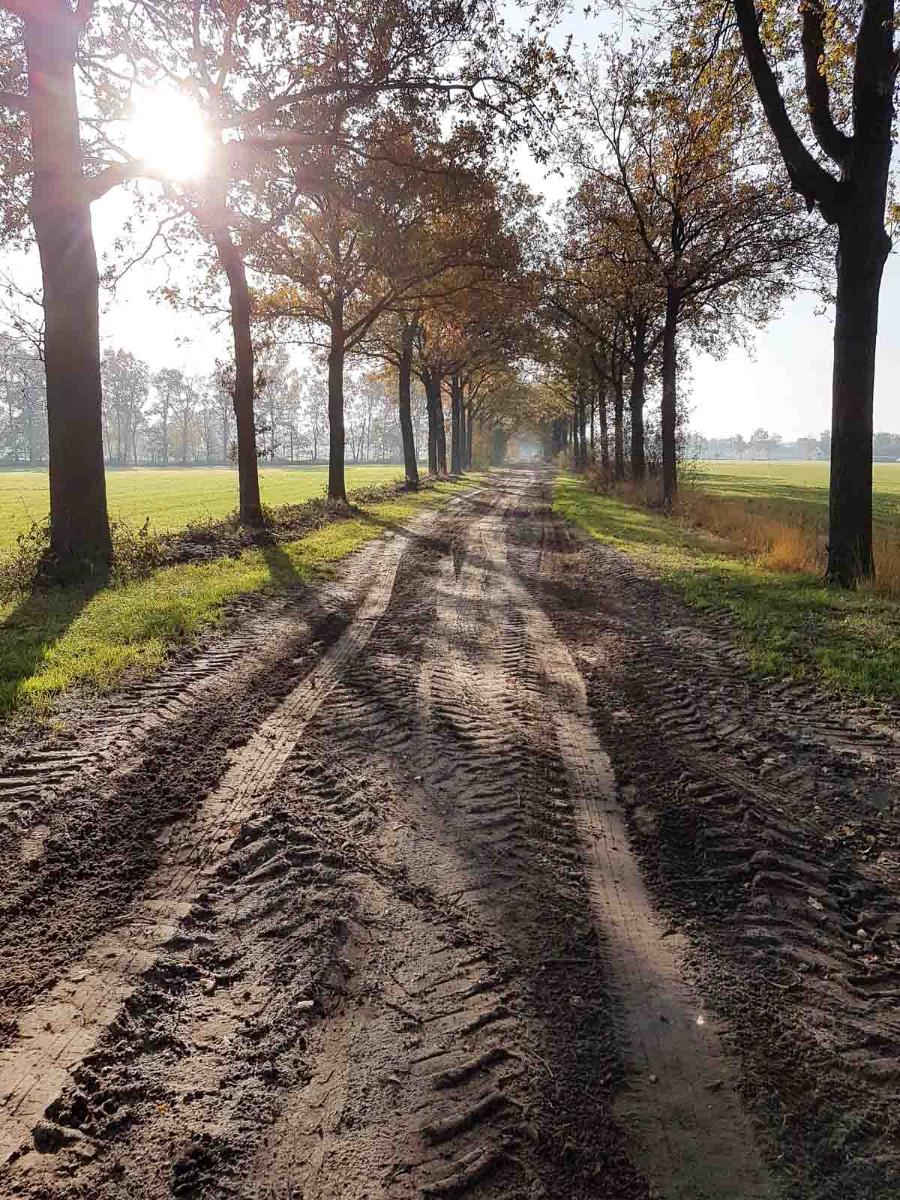OLAT Mariaheide 013 OLAT Mariaheide 013