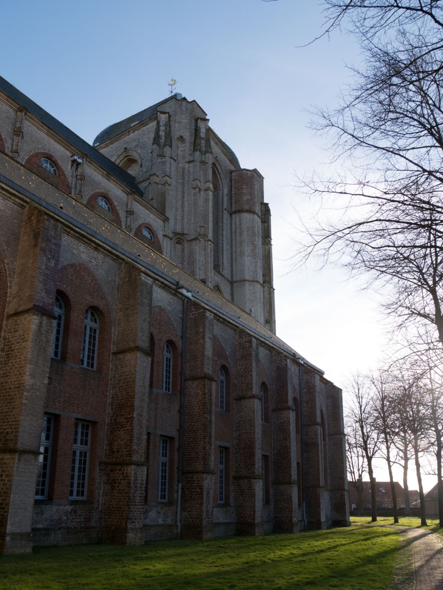 veere 009 1250585 veere 009 1250585