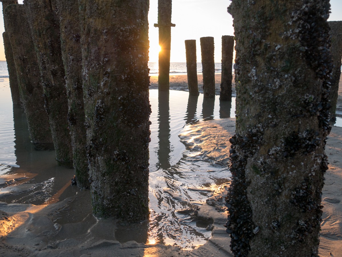 vlissingen sunset 011 1250604 vlissingen sunset 011 1250604
