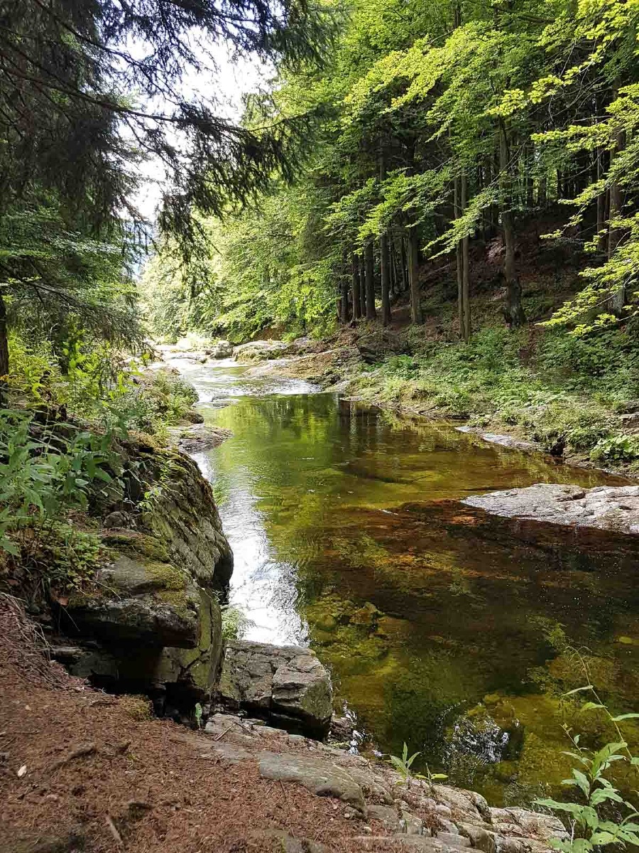 spindleruv mlyn 0010 2022 08 02.09.15 spindleruv mlyn 0010 2022 08 02.09.15