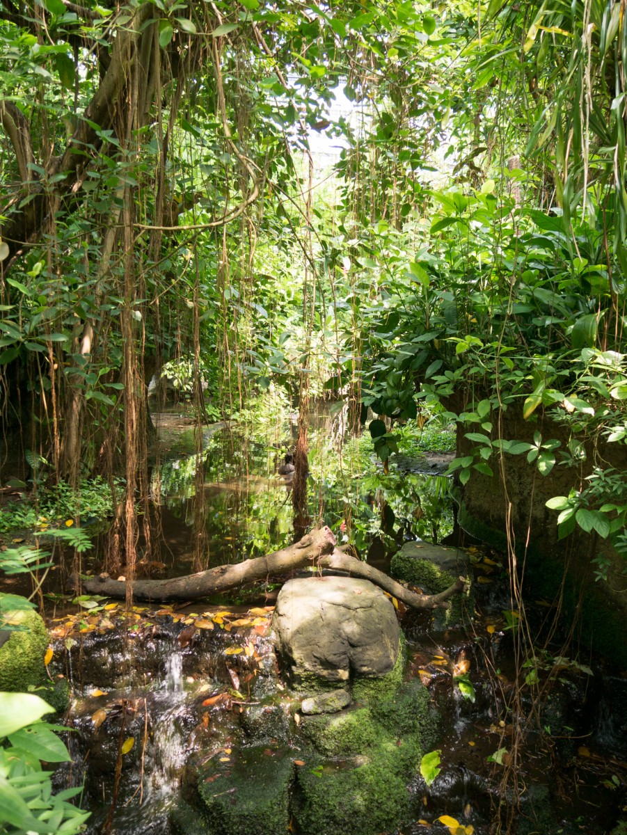 burgers zoo bush 0013  burgers zoo bush 0013